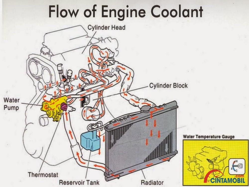 Ford 4 0 Engine Diagram Thermostat - Wiring Diagram