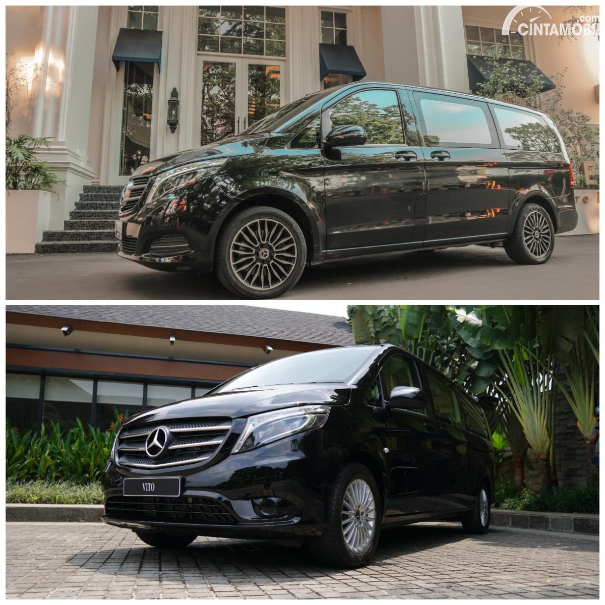 Mercedes benz vito vs viano