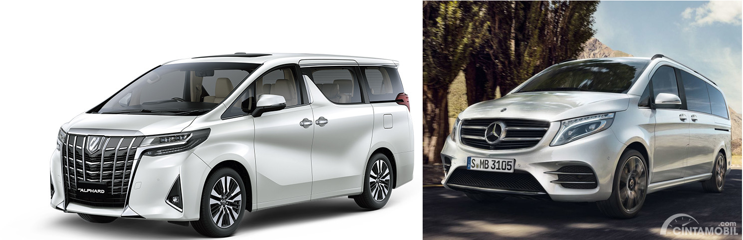 Gambar menunjukkan bandingkan antara mobil Toyota Alphard vs Mercedes-Benz Vito