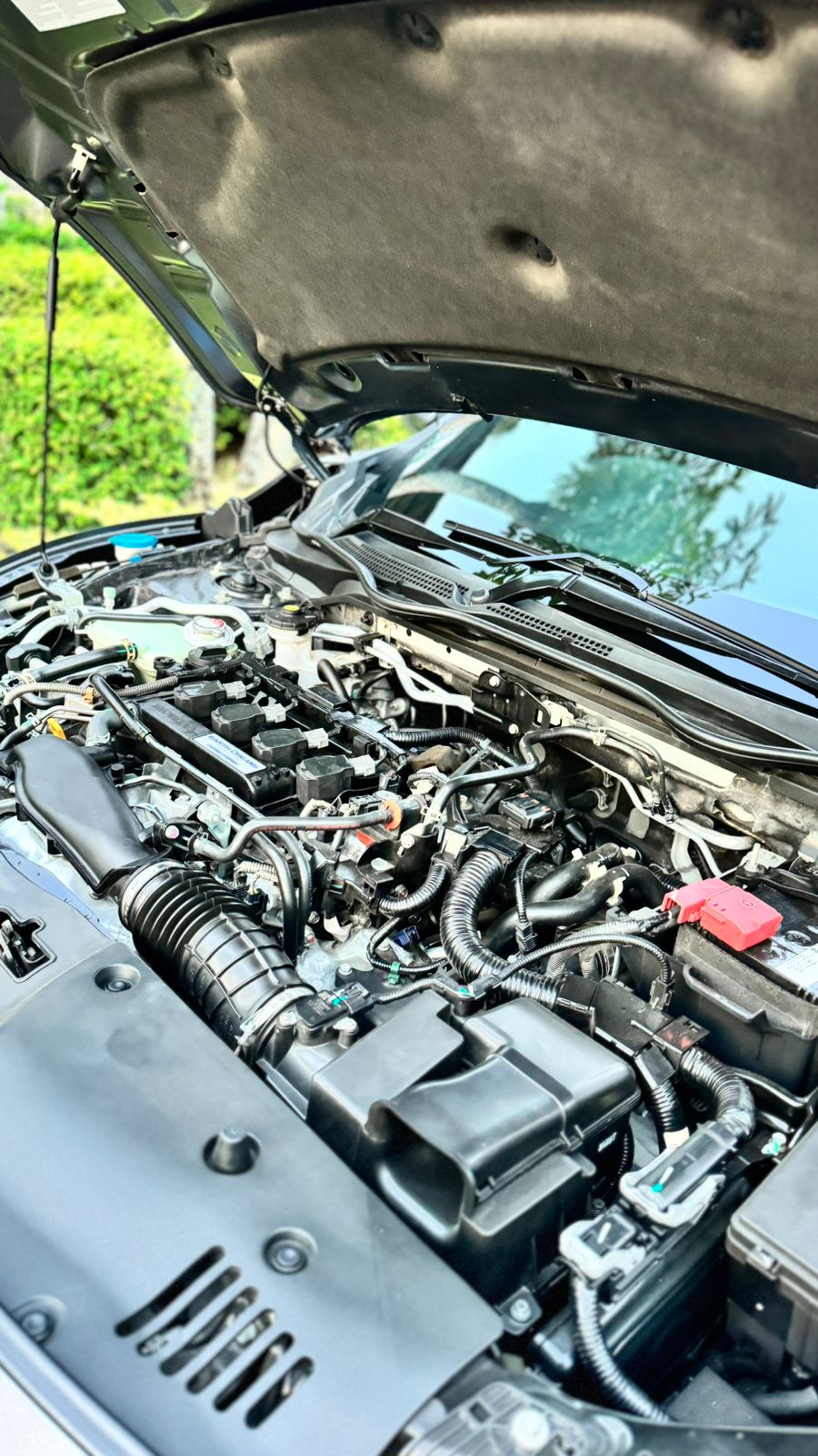 Civic Turbo Hatchback 2019