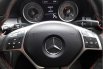 Mercedes-Benz A250 Sport 2013 Hatchback 3