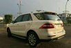 Mercedes-Benz ML250 CDI 2014 dijual 5