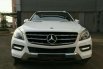 Mercedes-Benz ML250 CDI 2014 dijual 1