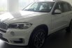 Jual BMW X5 xDrive35i xLine 2018 2