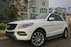 Mercedes-Benz ML250 AT Tahun 2014 Dijual 2