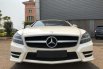 Mercedes-Benz CLS350 AMG 2011 1