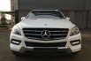 Mercedes-Benz ML250 CDI 2014 dijual  1