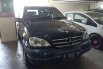 Mercedes-Benz ML320 2002 Dijual  3