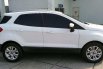 Dijual mobil bekas Ford EcoSport Titanium, DKI Jakarta  4