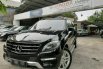 DKI Jakarta, Dijual cepat Mercedes-Benz M-Class ML 350 W166 2013 bekas  1