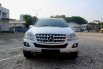 Mercedes-Benz M-Class ML 350 2009 1