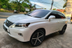 Lexus 2.0 RX 270 2012 Automatic 9