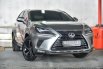 Jual mobil Lexus NX Series 2017 , Kota Jakarta Selatan, DKI Jakarta 1