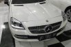 Mercedes Benz SLK 200 2012 1