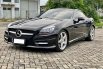 Mercedes-Benz SLK SLK 250 AMG 3