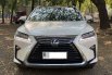 Lexus RX 300 Luxury 2018 5