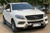 Mercedes-Benz M-Class ML 250 Diesel 2015 3