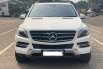 Mercedes-Benz ML 250 CDI 2015 1