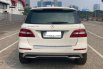 Mercedes-Benz ML 250 CDI 2015 2