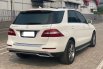 Mercedes-Benz ML 250 CDI 2015 3