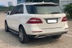 Mercedes-Benz ML 250 CDI 2015 4