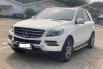 Mercedes-Benz ML 250 CDI 2015 5