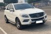 Mercedes-Benz ML 250 CDI 2015 6