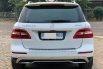 Mercedes-Benz M-Class ML 250 Diesel 2015 4