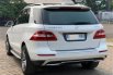 Mercedes-Benz M-Class ML 250 Diesel 2015 5