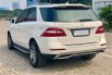 Mercedes-Benz M-Class ML 250 2015 Putih 4