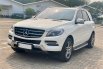 Mercedes-Benz M-Class ML 250 2015 Putih 3