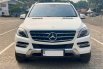 Mercedes-Benz M-Class ML 250 2015 Putih 1