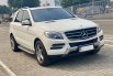 Mercedes-Benz M-Class ML 250 2015 Putih 2