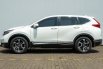 Honda CR-V 1.5 Turbo Matic 2019 8