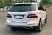 Mercedes-Benz M-Class ML 250 Diesel 2015 3