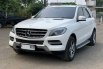 Mercedes-Benz M-Class ML 250 Diesel 2015 5