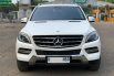 Mercedes-Benz M-Class ML 250 Diesel 2015 1