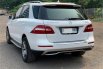 Mercedes-Benz M-Class ML 250 Diesel 2015 6