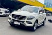 Mercedes-Benz M-Class ML 250 2013 Putih 2