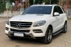 Mercedes-Benz M-Class ML 250 Diesel 2013 2