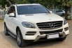 Mercedes-Benz M-Class ML 250 Diesel 2013 5