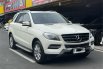 Mercedes-Benz M-Class ML 250 2013 SUV 1