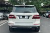 Mercedes-Benz M-Class ML 250 2013 SUV 4