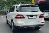 Mercedes-Benz M-Class ML 250 2013 SUV 5