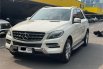 Mercedes-Benz M-Class ML 250 2013 SUV 3