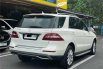 Mercedes-Benz M-Class ML 250 2013 SUV 6