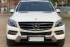 Mercedes-Benz M-Class ML 250 Diesel 2013 1