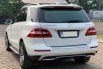 Mercedes-Benz M-Class ML 250 2013 4