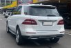 MERCY ML250 CDI AT 2015 PUTIH 6