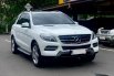 MERCY ML250 CDI AT 2015 PUTIH 1